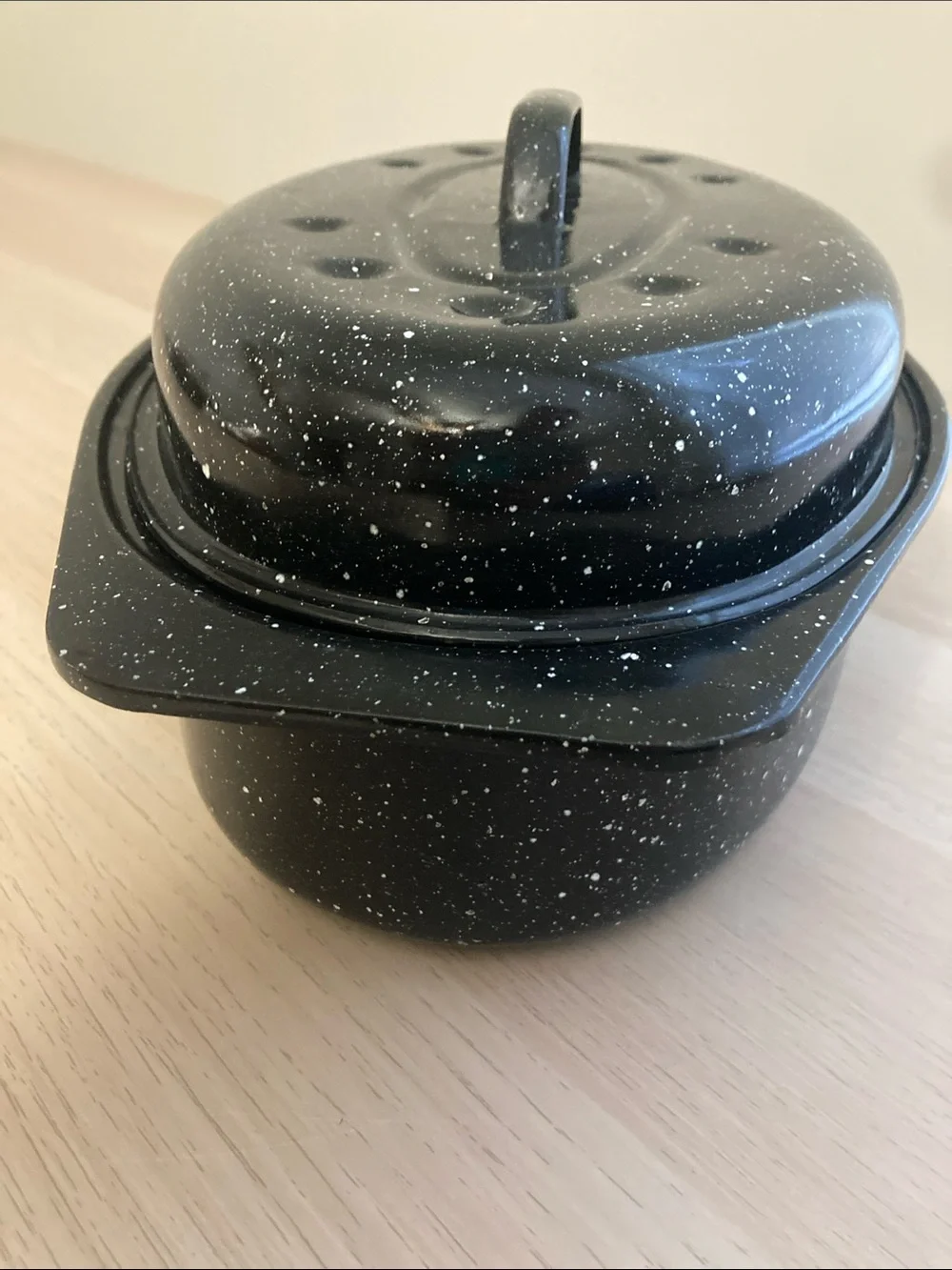 Vintage Black Speckled Roaster Pan with Lid - Brand Unspecified
